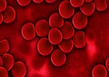 leucemia
