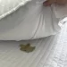 Foglie di alloro sotto il cuscino, l’antico rimedio dei nonni
