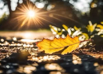 Previsioni meteo: ottobre, novembre e dicembre