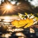 Previsioni meteo: ottobre, novembre e dicembre