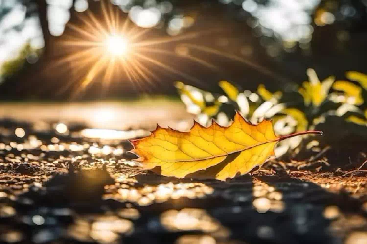 Previsioni meteo: ottobre, novembre e dicembre