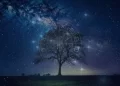 Qual è il genio dello zodiaco? Due dei segni più intelligenti dello zodiaco