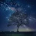 Qual è il genio dello zodiaco? Due dei segni più intelligenti dello zodiaco