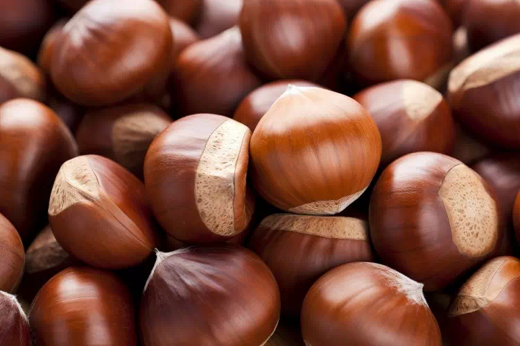Castagne bollite, ecco la ricetta e il trucco dell'acqua bollente
