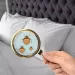 Cimici da letto, ecco come evitarle