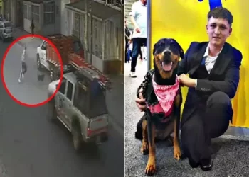 Giovane calciatore perde una gamba, il commovente gesto per salvare il suo cane