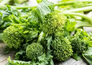 Cime di rapa, se le mangi ogni giorno cosa accade al tuo corpo