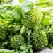 Cime di rapa, se le mangi ogni giorno cosa accade al tuo corpo