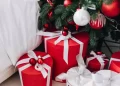 Niente regali sotto l’albero di Natale quest’anno