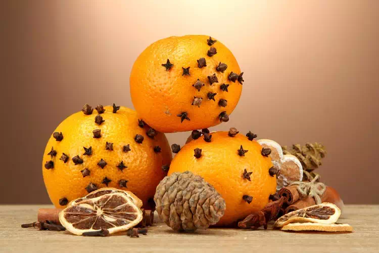 Gli antichi rimedi dei nostri nonni: Buccia d’arancia e chiodi di garofano