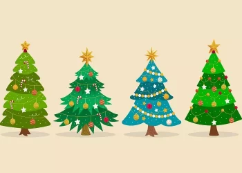 Quale albero di Natale scegli