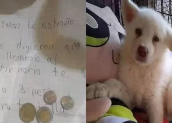 Un bambino lascia il suo cane in un rifugio: Il triste motivo commuove il mondo
