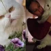 Lutto per Federica Pellegrini, addio al suo storico gatto Neve