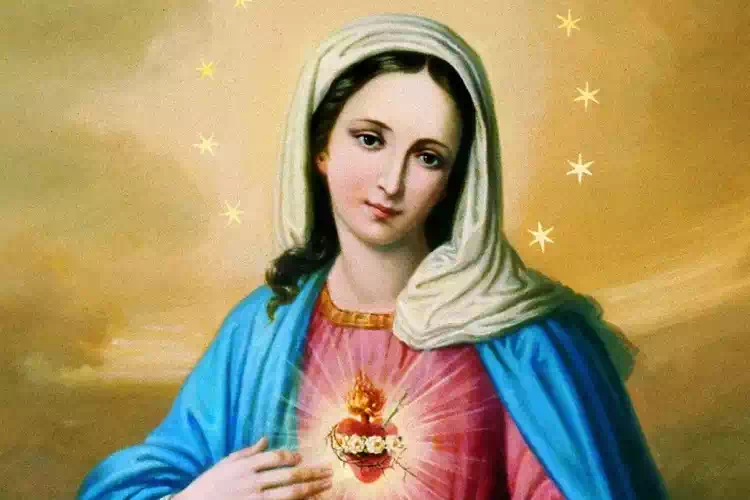 Cuore Immacolato di Maria, prega per noi