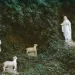 Il messaggio della Madonna ad una bambina