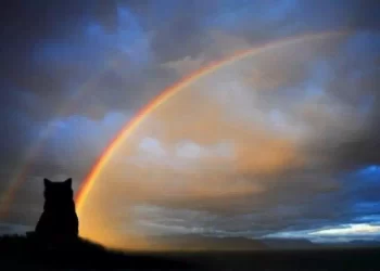 Perché si dice “Buon Ponte dell’Arcobaleno”