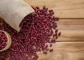 I piccoli fagioli miracolosi arrivano dal Giappone: Gli Azuki