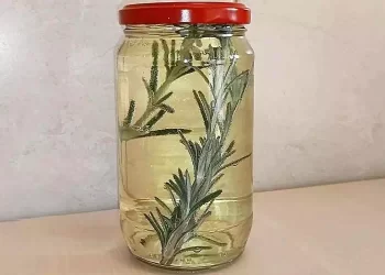 Rosmarino e vino bianco insieme
