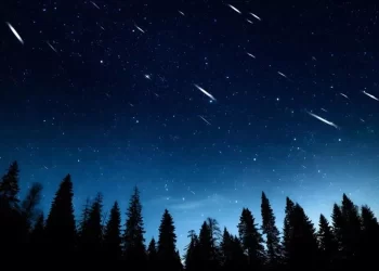 La notte di San Lorenzo: La storia del Santo