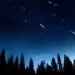 La notte di San Lorenzo: La storia del Santo