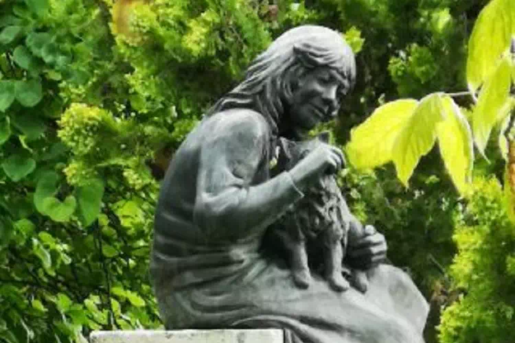 Maria Teresa Gentile, la storia di un cane Volpino