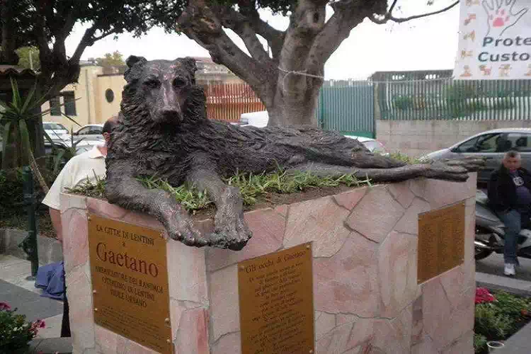 Lentini, la statua dedicata al cane Gaetano