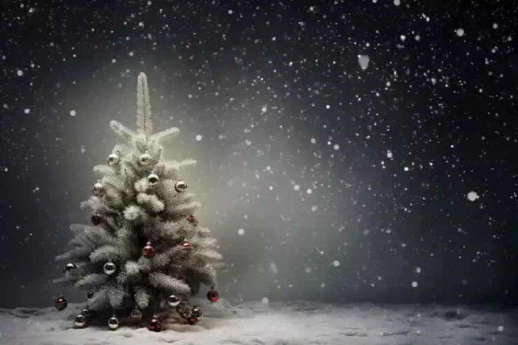L’albero di Natale innevato, ecco come crearlo