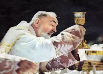 Padre Pio salvò la vita di Madre Teresa
