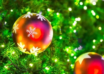 Come mettere le luci sull'albero di Natale