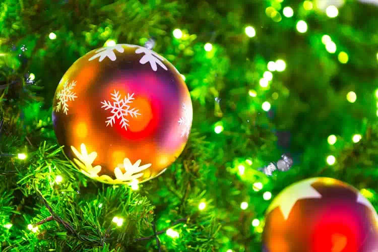 Come mettere le luci sull'albero di Natale