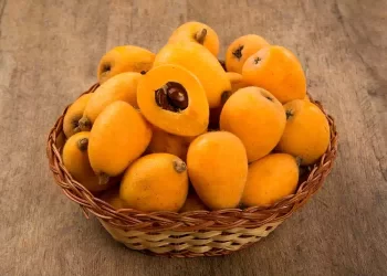 Il frutto dimenticato e ricco di nutrienti: Le nespole