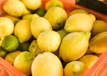 Limoni vecchi, sapete perché non dovete buttarli
