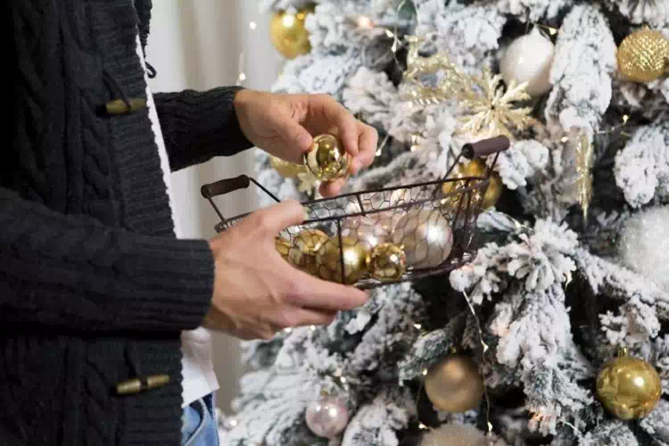 Quando si toglie l’albero di Natale