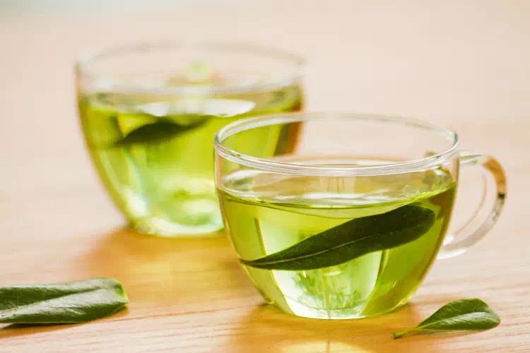 Infuso di foglie di olivo
