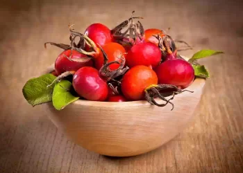 Rosa canina, la bacca alleata per le difese immunitarie
