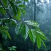 "Quattro aprilante, giorni quaranta": È vero? Cosa ci aspetta se piove il 4 aprile