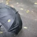 Se piove in questo giorno