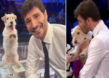 Chi è Gennarino, la nuova star di Affari Tuoi
