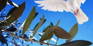 La Domenica delle Palme, tra simboli e usanze