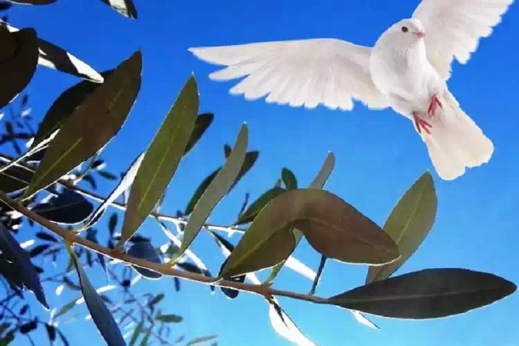 La Domenica delle Palme, tra simboli e usanze