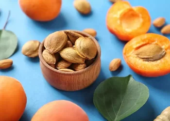 i noccioli delle albicocche