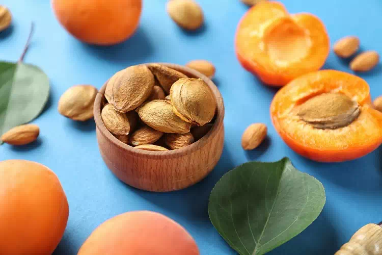 i noccioli delle albicocche