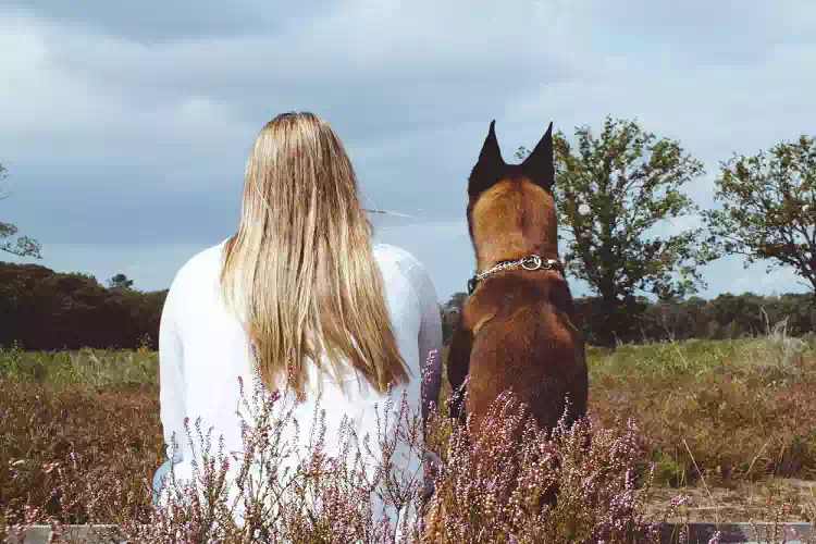 Lo spirito di un cane saluta per l’ultima volta la sua mamma umana