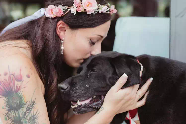 Il cane Charlie accompagna la sua mamma umana all’altare