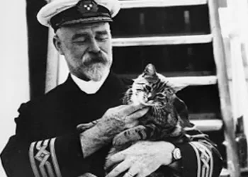 La storia di Jenny, la gatta che salvò i suoi cuccioli