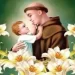 Il Santo del 13 giugno