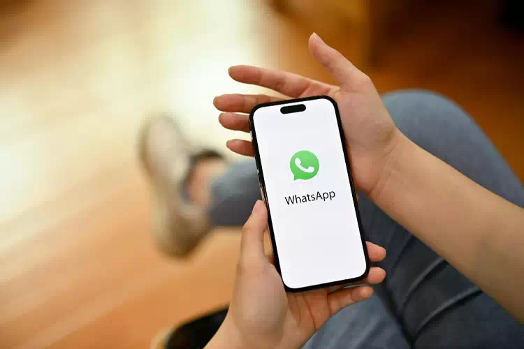 Il cestino di WhatsApp