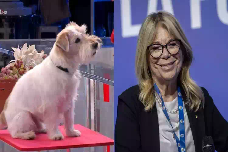 Rita Dalla Chiesa, le parole contro la Rai