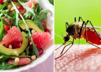 Zanzare ecco i cibi da mangiare