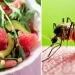 Zanzare ecco i cibi da mangiare